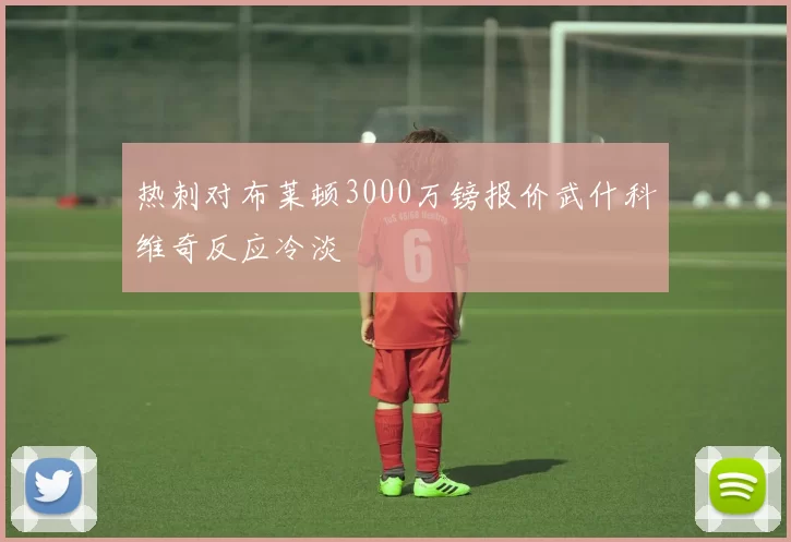 热刺对布莱顿3000万镑报价武什科维奇反应冷淡